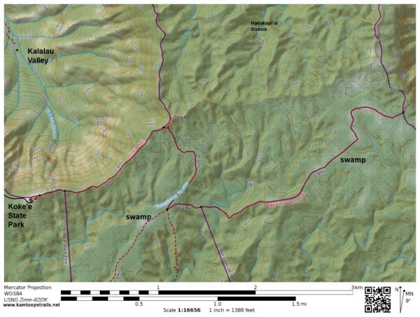 On the Alakai’i Swamp Trail – KamloopsTrails